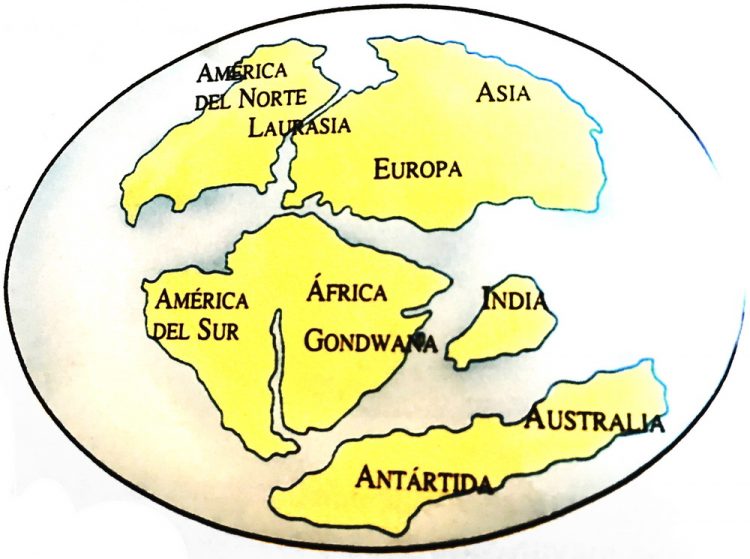 Euradia, América del Norte, Laurasia, Deriva continental.