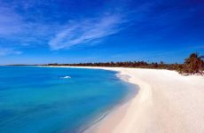 Cozumel es una paradisíaca isla mexicana ubicada en el mar Caribe. El turismo es actualmente la principal actividad económica.