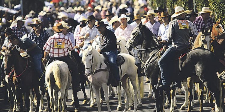 Efemérides de Costa Rica. Las fiestas de Palmares se llevan a cabo en un período de dos semanas del mes de enero en la ciudad de Palmares, en la provincia de Alajuela. Foto: Desfile de caballos en el Festival de Palmares. Efemérides de Costa Rica. Las fiestas de Palmares se llevan a cabo en un período de dos semanas del mes de enero en la ciudad de Palmares, en la provincia de Alajuela. Foto: Desfile de caballos en el Festival de Palmares.