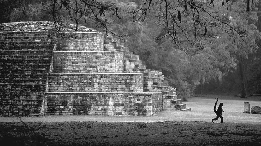 Honduras. Fotografía del yacimiento arqueológico de Copán, ubicado ubicado en el departamento de Copán al occidente hondureño. Fue la capital de un importante reino entre los siglos V y IX cuyos habitantes eran contemporáneos con la cultura maya, pero no pertenecían a esa etnia.